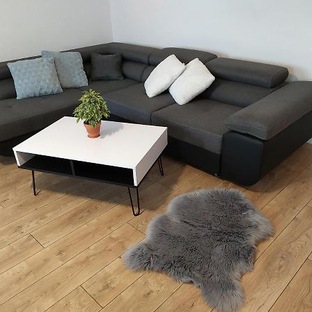 Apartament Gora Szybowcowa イェレニャ・グーラ エクステリア 写真